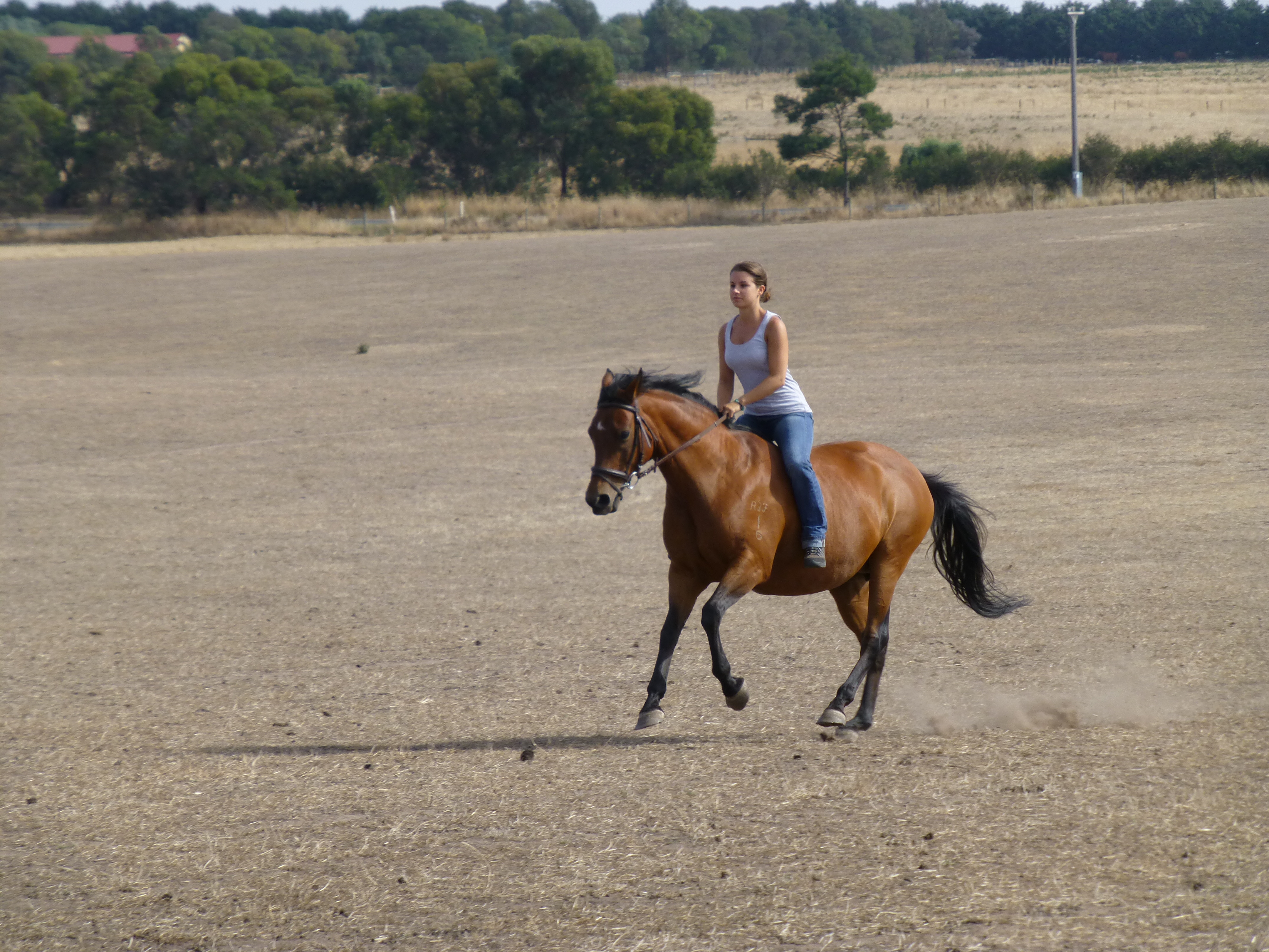 Riding bare back in Australia