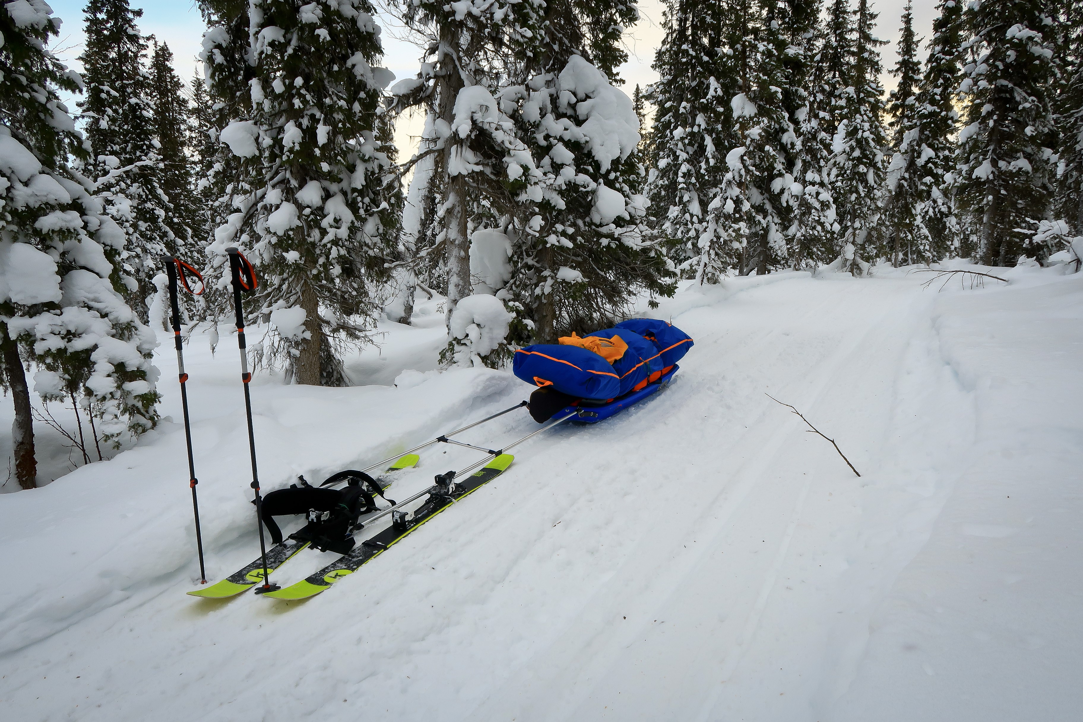 Big blue pulk behind some unsuitable skis
