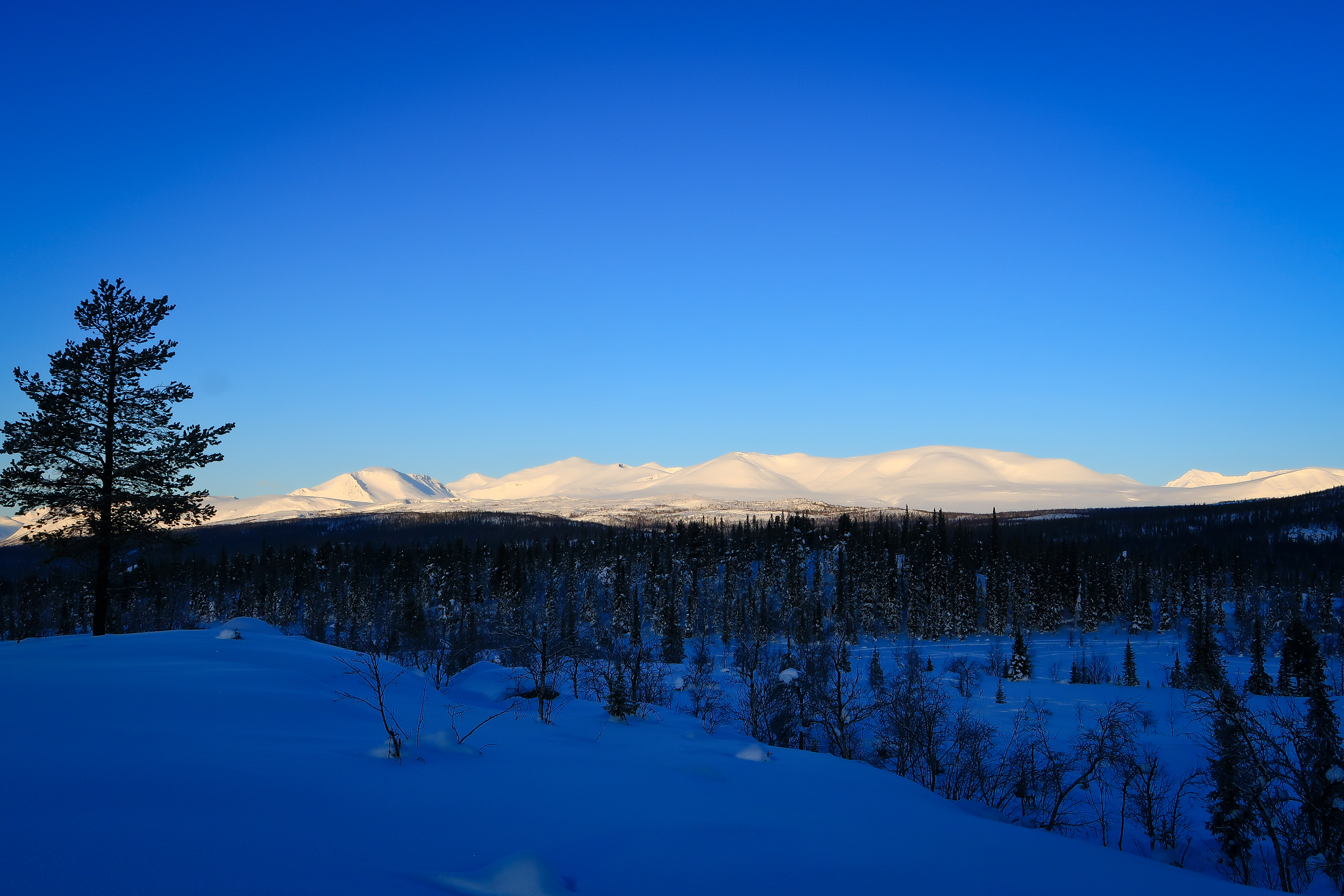 Last sun on the mountains of Sarek