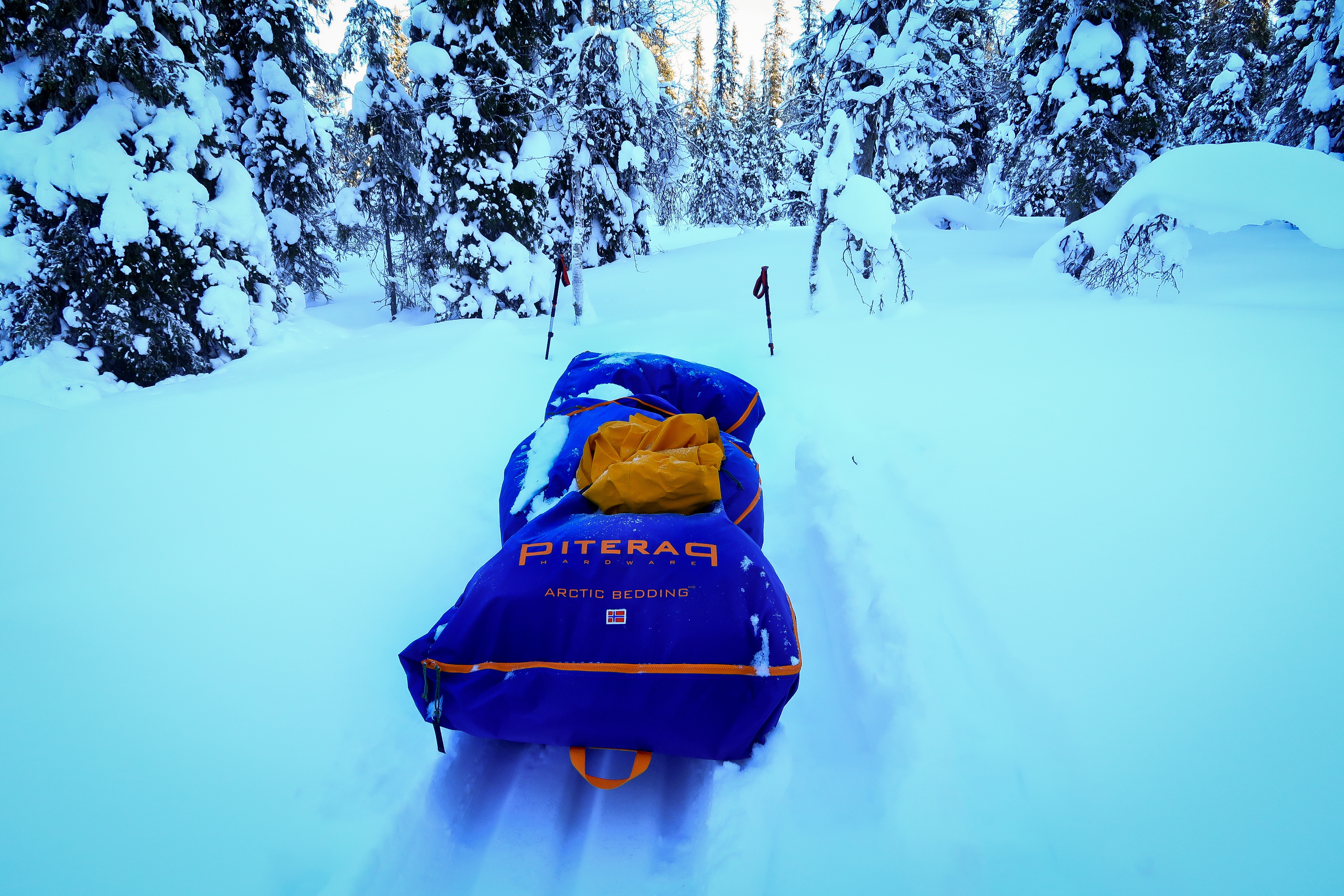 Deep, untouched snow in the forest